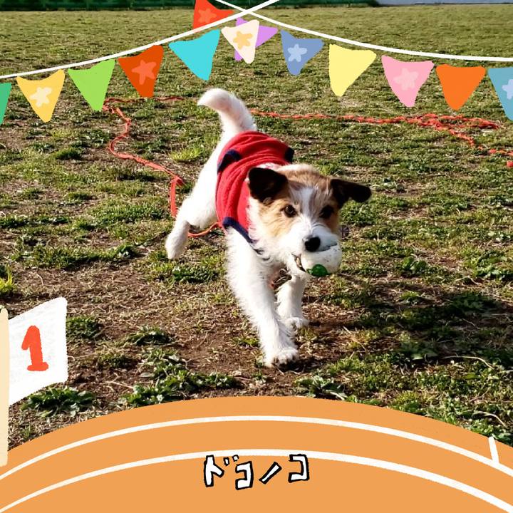 D2e5667e 8357 4617 b7c2 0fea40217145 1761274942775