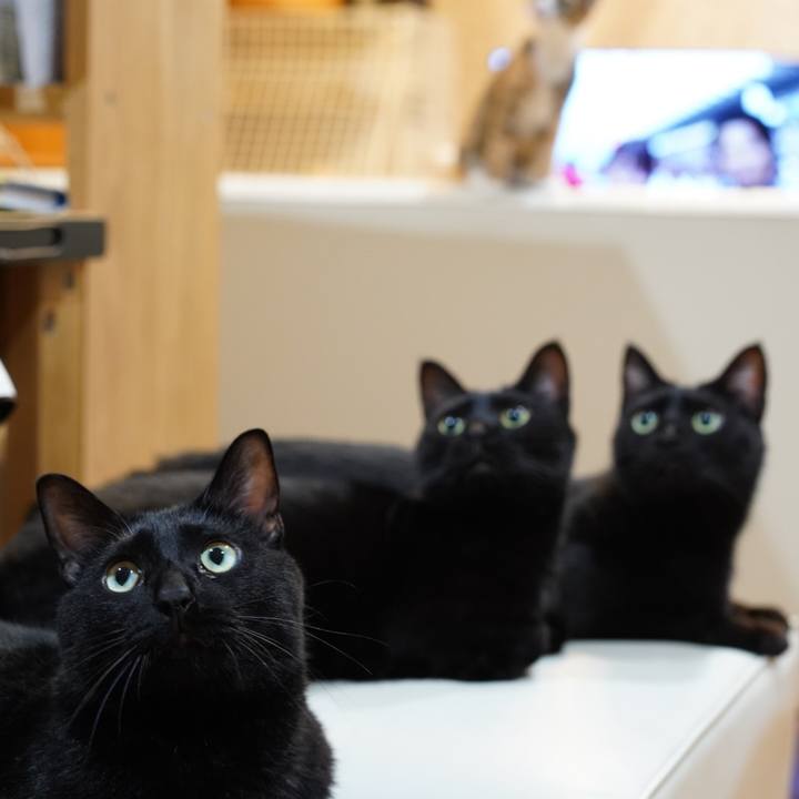 D2e567dd bab1 4c4f 8627 c707adfd058e 1570405682165