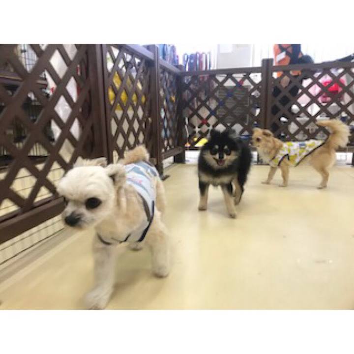 D2e56b8e 7ac4 4950 84a3 0148f5b30e32 1560416869035