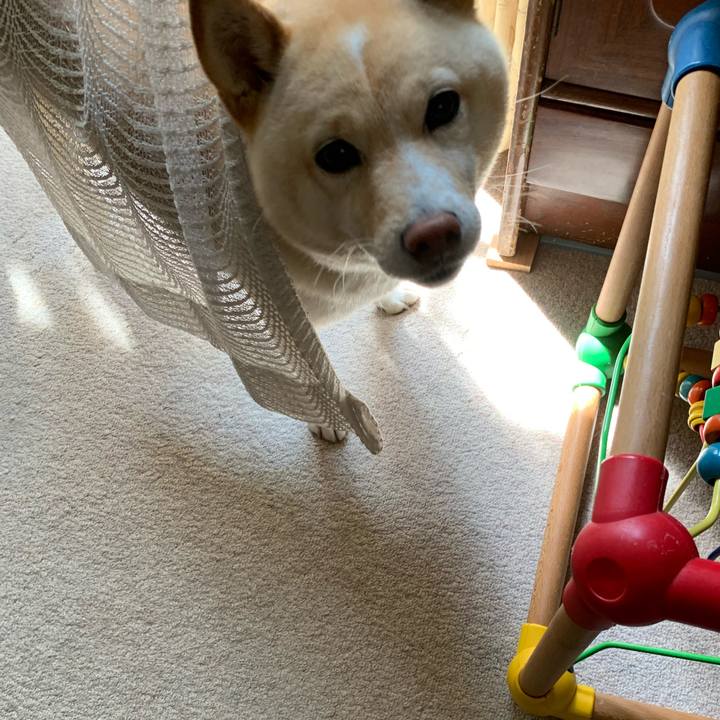 D2e58d1c e64e 41c0 9889 aa7c31f611e3 1624666077259