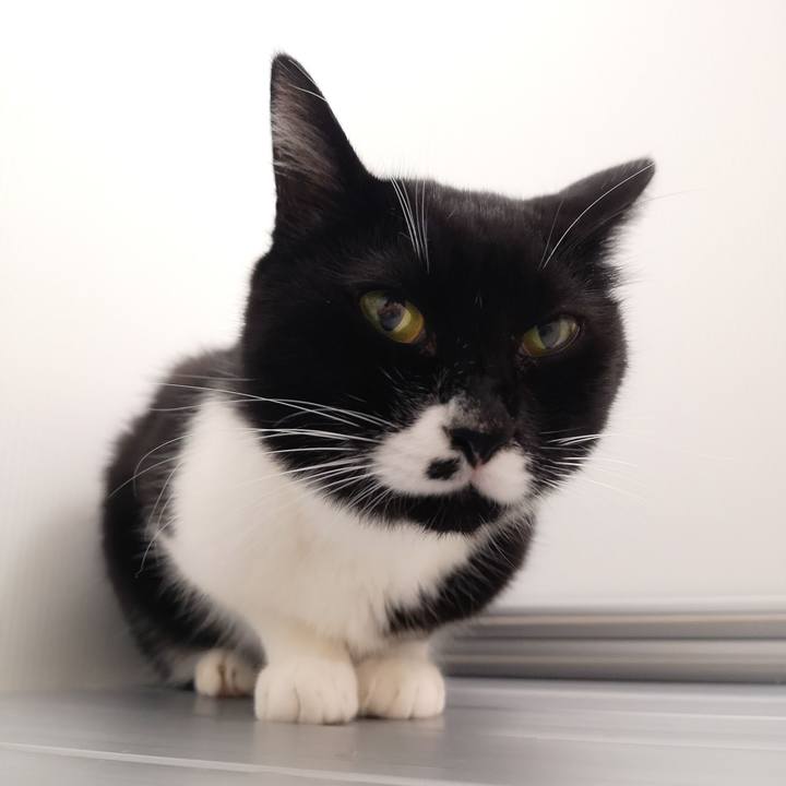 D2e59b20 9e20 428c 8372 82b5e31e2dc3 1544211289394