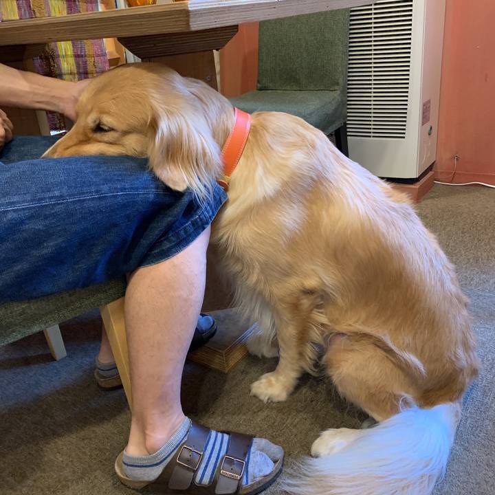 D2e60369 637b 4676 89f7 b25e4379fced 1567574778298