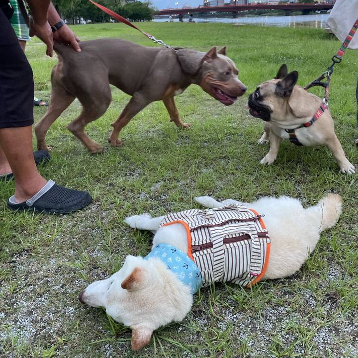 D2e612b6 6160 47cf a2ce 45e48b39f2c4 1657716832151