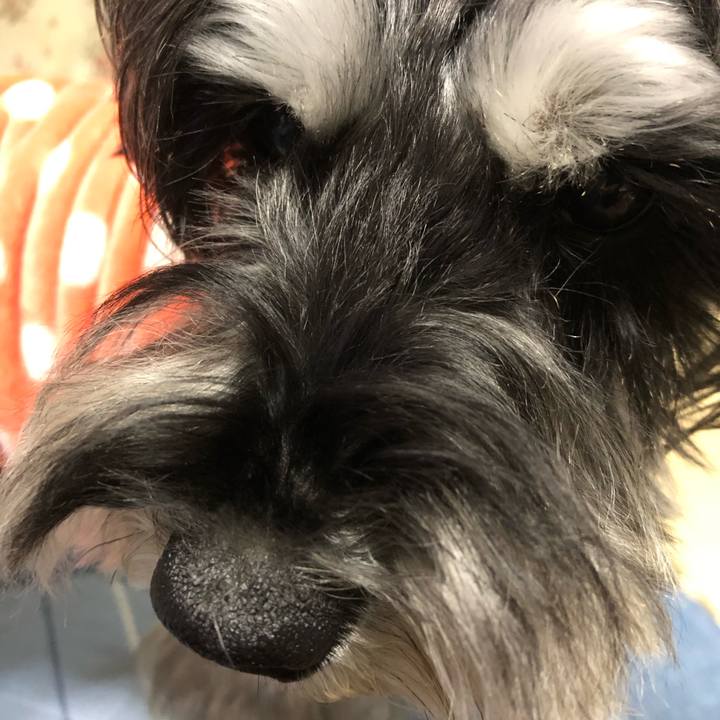 D2e653bb b6a2 48af 8727 420a58c46a21 1701776714545