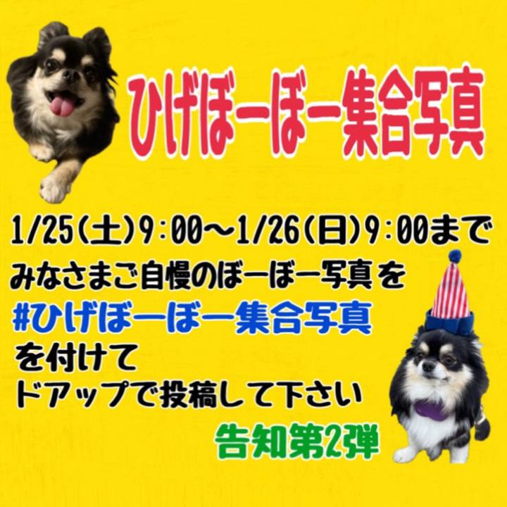 D2e65a70 89a7 4906 b555 38496abec136 1736558024117