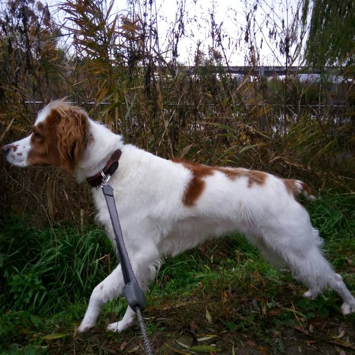 D2e6609f 7389 4646 89f0 4b0ed91f0b8d 1512777682818