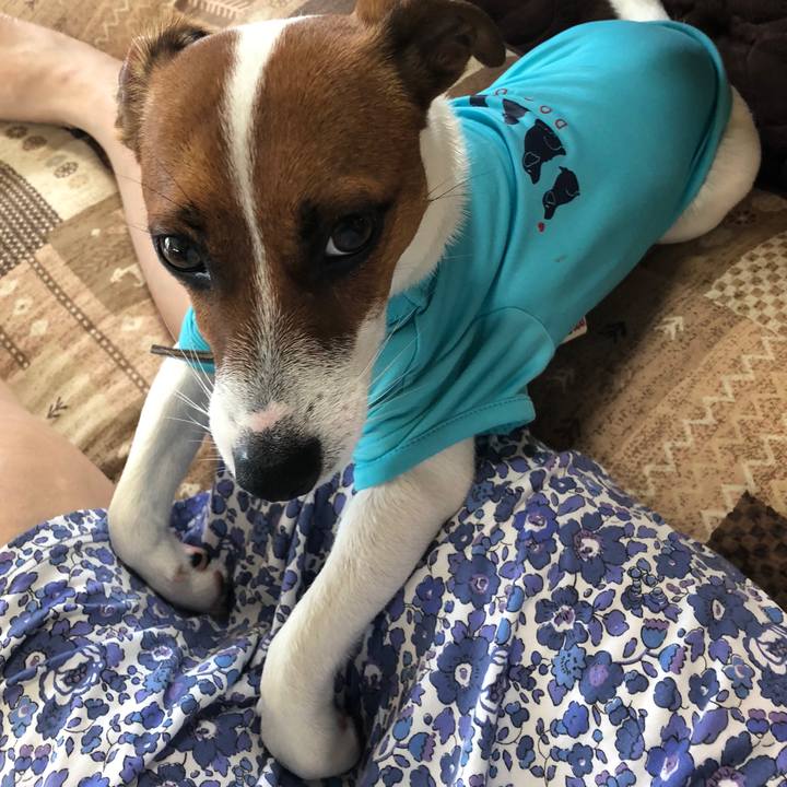 D2e66b94 850d 45fb 95ac 53b3fc9b3170 1531784148546