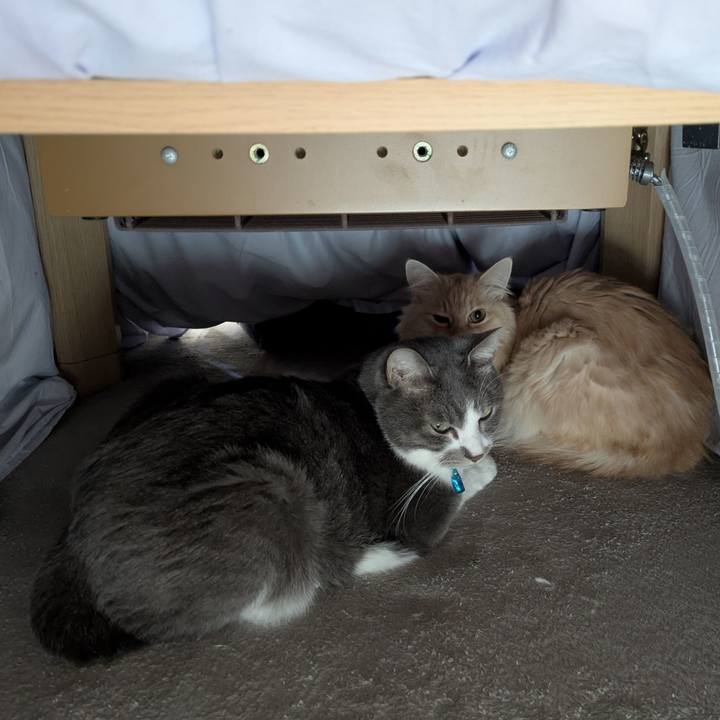 D2e67533 7f80 4ce7 9b6e bd2ada3d8664 1766888040288