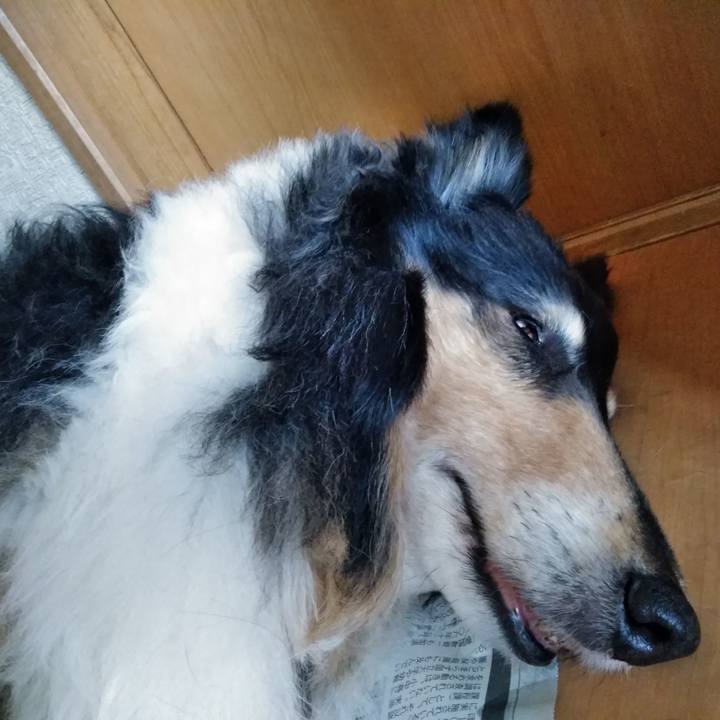 D2e68de8 01cf 4781 9f53 034644222f10 1555852016713