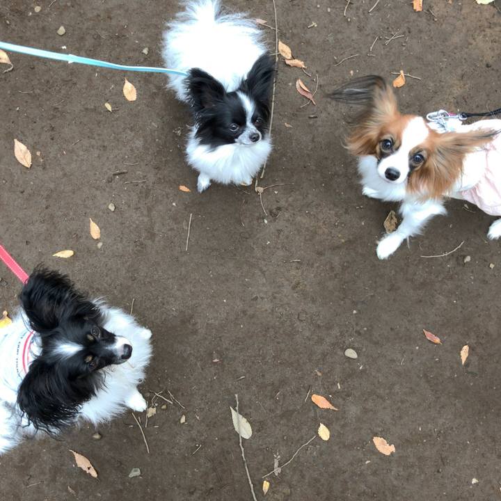 D2e69cf9 ef5c 4764 9e93 9f8a0819ad94 1509178153036