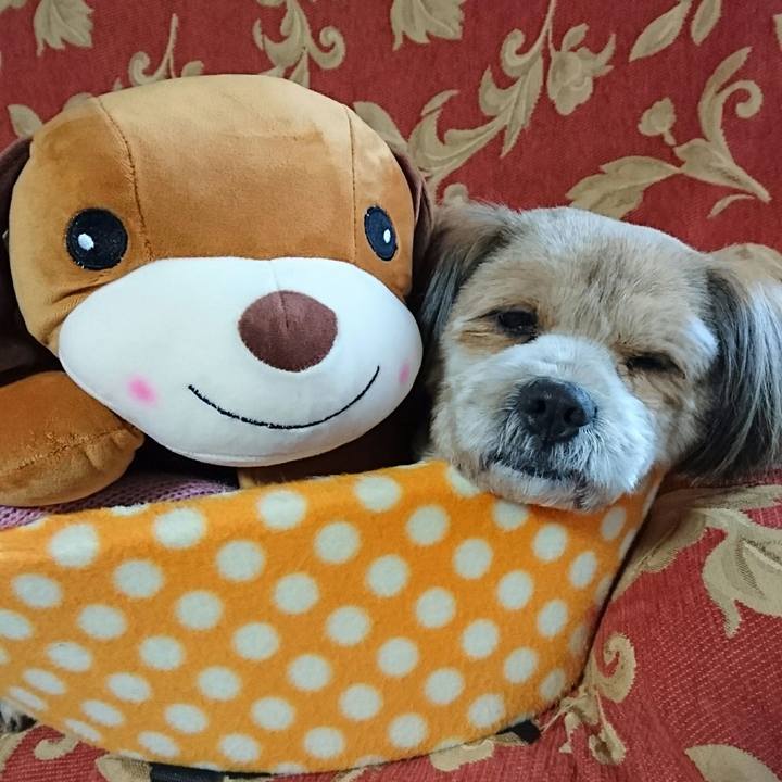 D2e69ff2 7eb8 4679 a179 b3842dc2aae8 1518478752842