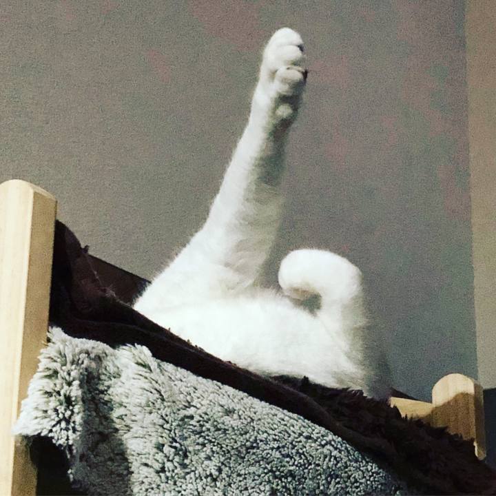 D2e6acbe f33f 43d6 b887 e1451d15ff58 1551782306557