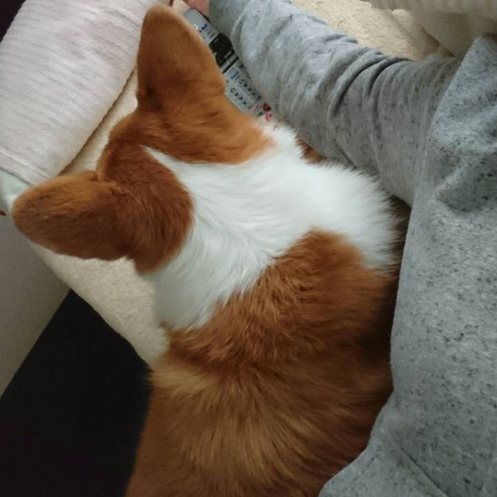 D2e6c18f 2420 45ac b865 b2cdd815fe6d 1541145900894