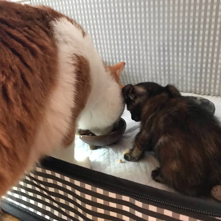 D2e6d625 88c6 480e b69c a2e7e6047ba2 1596952421032