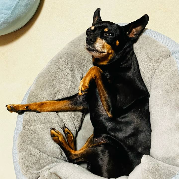 D2e6f687 f49e 4666 be63 8999f7944057 1769554049930