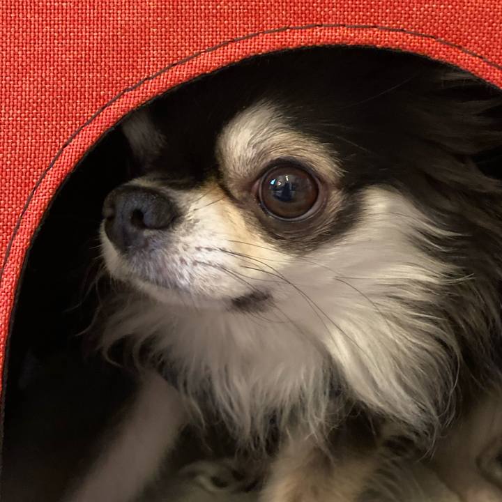 D2e79315 af5b 4e6e 908b 8deacfd5d2f3 1709394920296