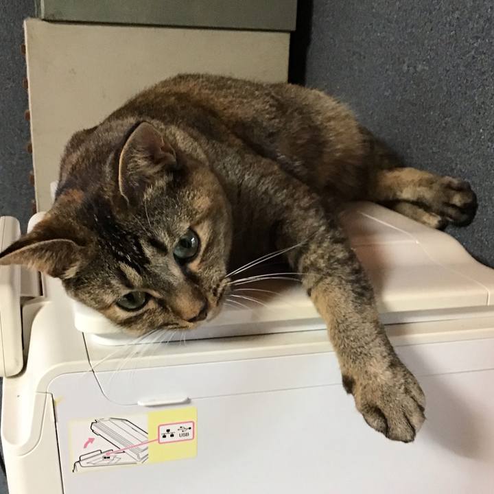 D2e7b0a4 5d9c 47b9 8efc 9145a0583d75 1629972477027