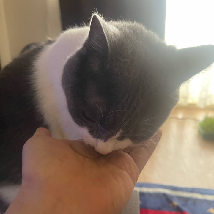 D2e7db47 3102 41ad b382 d6d599873302 1688874864049