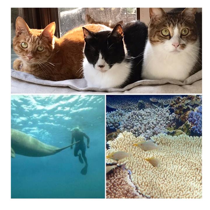 D2e82bd3 a88b 44a7 b7c3 46121aca4477 1548310023997