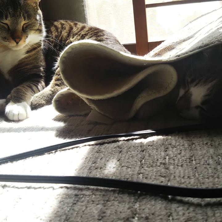 D2e868f3 6ad2 4e4d a376 5758e2a91243 1616123967583