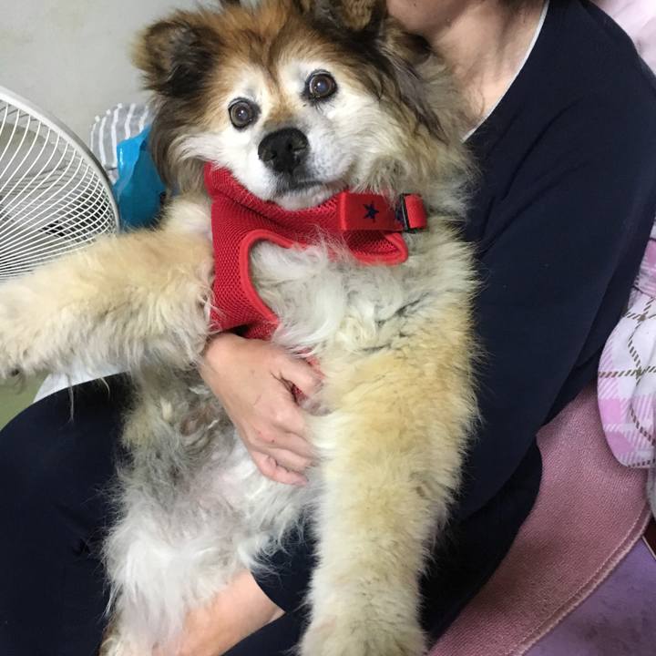 D2e88a86 dd47 4670 b806 dc06d8426586 1556538891445