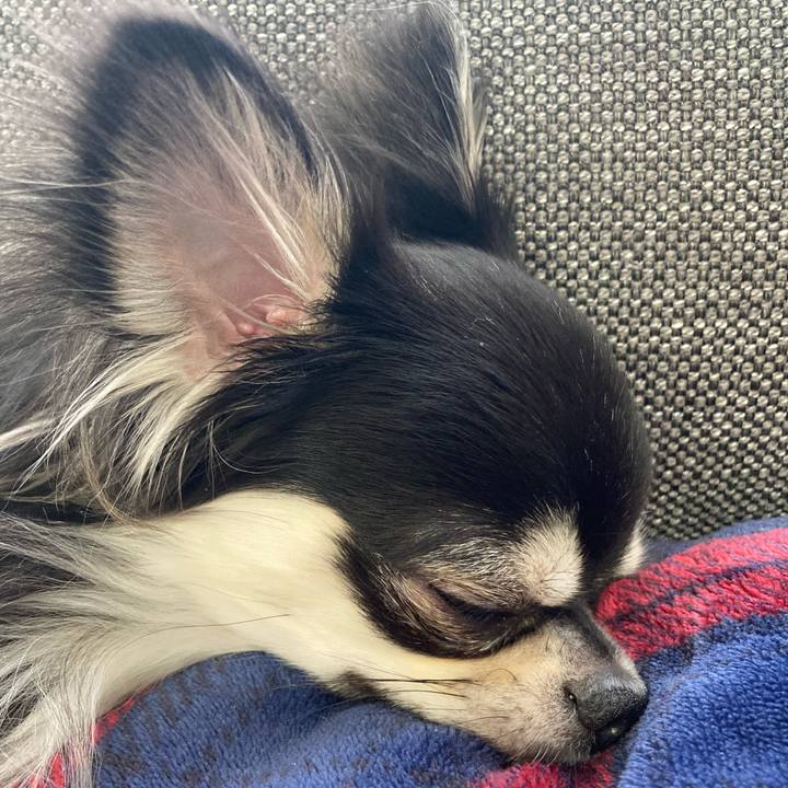 D2e8a701 300d 4cc6 b9b2 b7e043a51f75 1615004686317