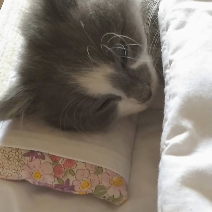 D2e8a96d 0d97 44df a2ce 0cc6244b037b 1561154262061