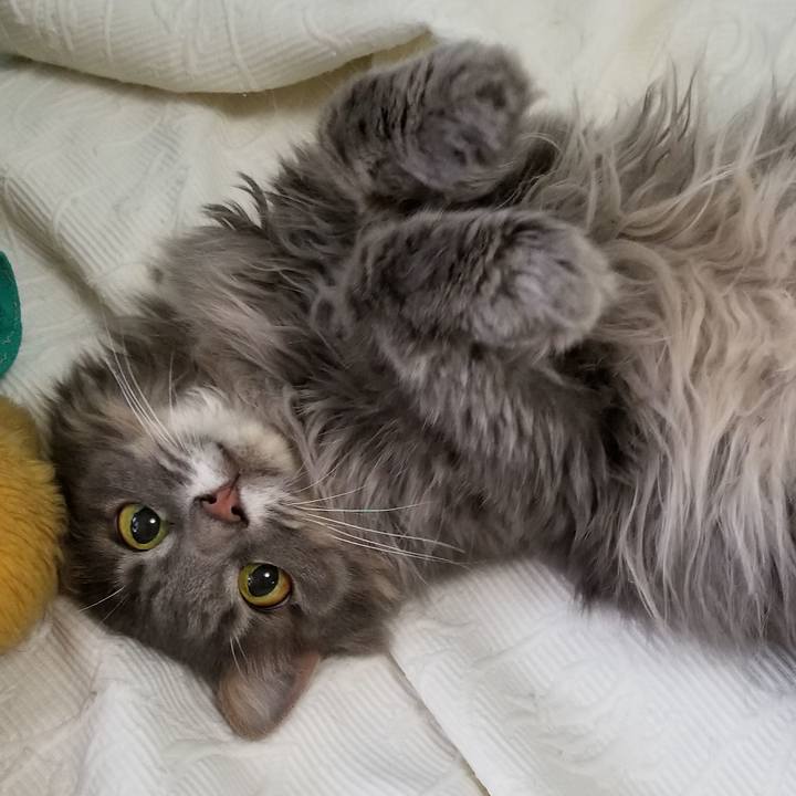 D2e8e5cc 0606 4494 acb3 f8ade658a5f6 1535760708700