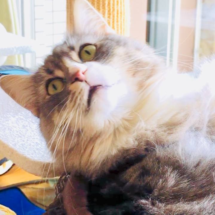 D2e912f9 4c47 4800 8fc7 2194259030cb 1526112338894