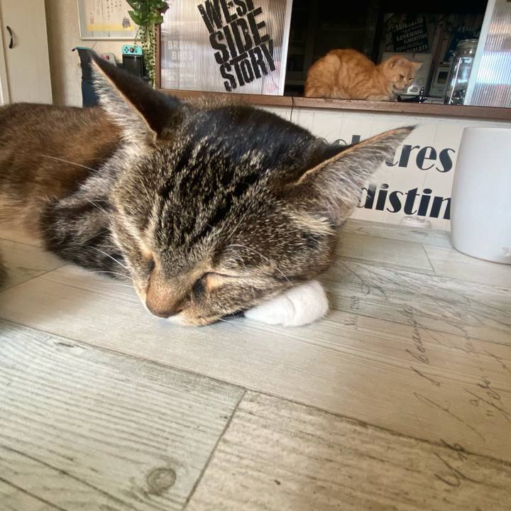 D2e96004 9259 451a b886 4f6ec8be6256 1609557483532