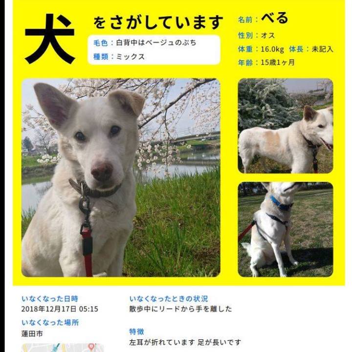 D2e97548 f232 437b ab4e b1aec6d8540a 1546658610333