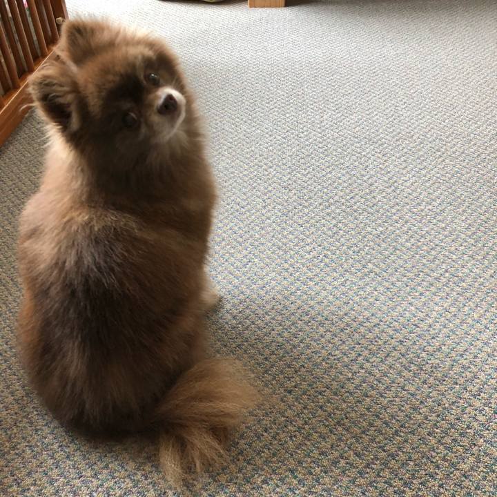 D2e99223 9fd3 4c9a a011 253ccf5fd9d2 1561509264487