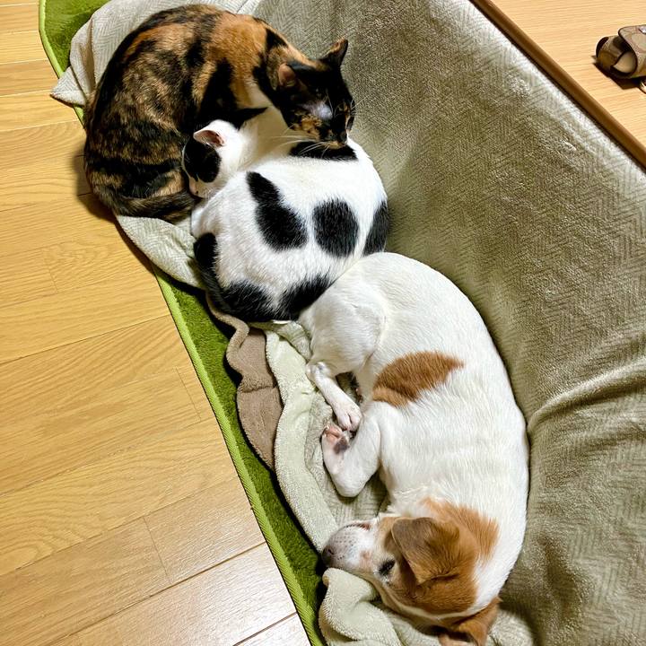 D2e9a176 60ea 42c4 aa5a e26adb3bb2bb 1704978734230