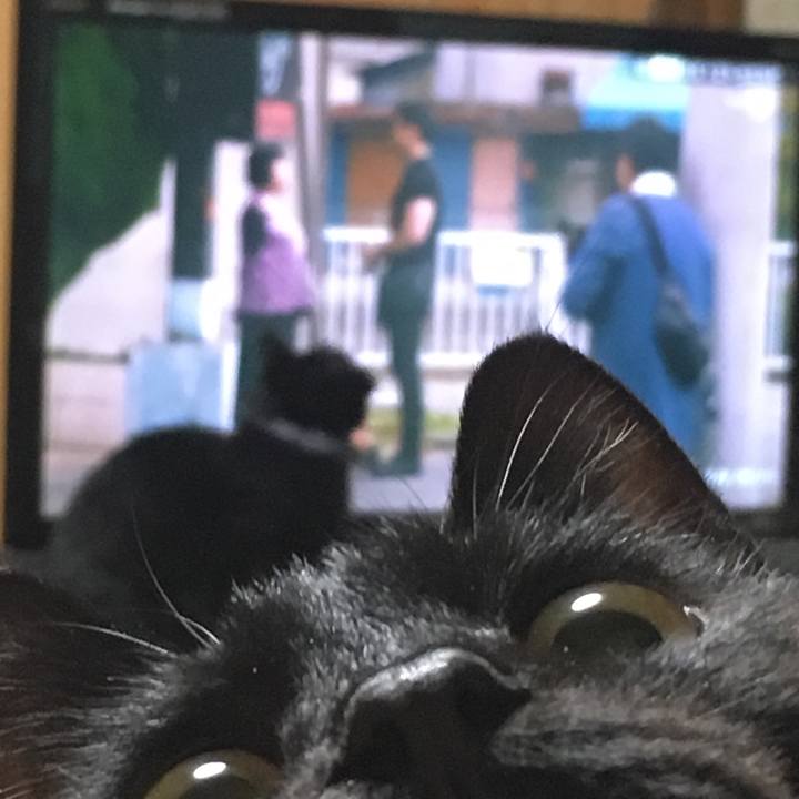 D2e9a8b2 d9cd 461b a0ea a45d5846b341 1547900675807