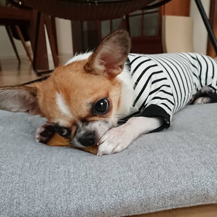 D2e9c806 5370 4d7c b796 32d564ed5ddb 1536912504780