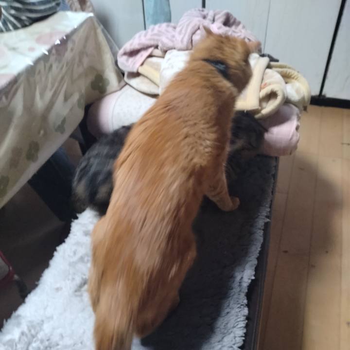 D2e9ed68 76ac 41f8 a4b4 2ba627bb9ca6 1670803564527