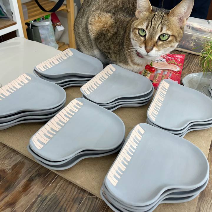 D2e9f51d ed6e 4c07 a9fb 802ea22df931 1740567306393