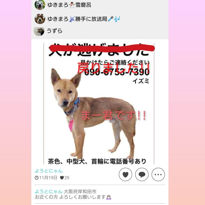 D2ea4ed8 e184 42e1 acb9 6e78ada90f59 1605924749192