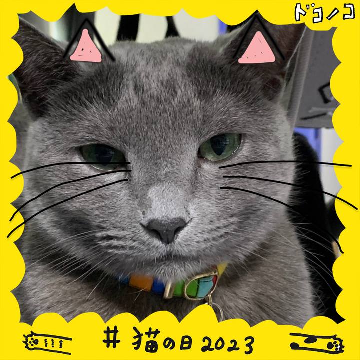 D2eac6af d033 43e7 ab7f b55e56e23b25 1677034426740