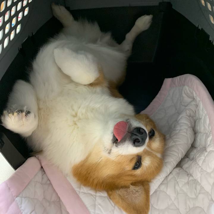 D2eaedb2 ef1f 4d02 a1a7 ba0a39b8dde0 1719456276442