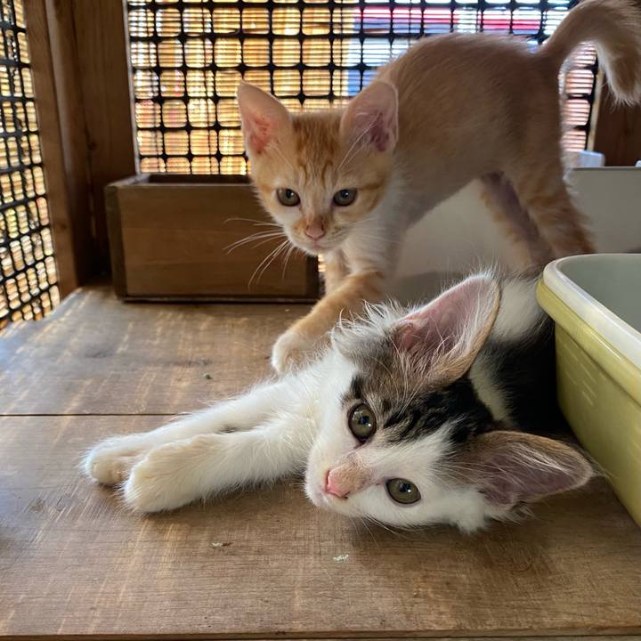 D2eaef85 03f8 4039 9d85 7b86c08822f3 1630372231967