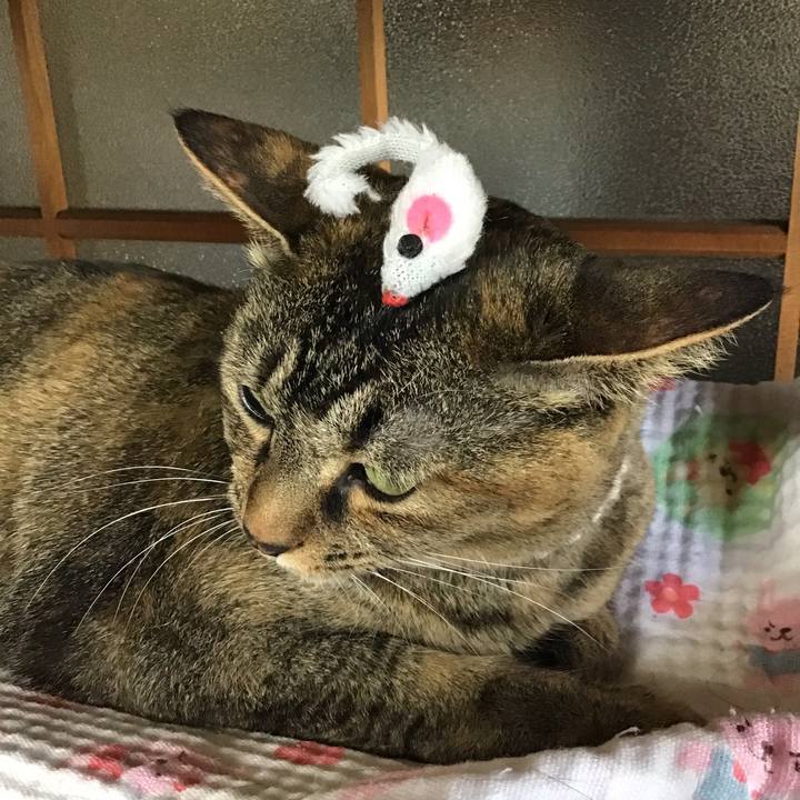 D2eb150e 59b9 437e bb4e fcf6206b5e23 1655628262613