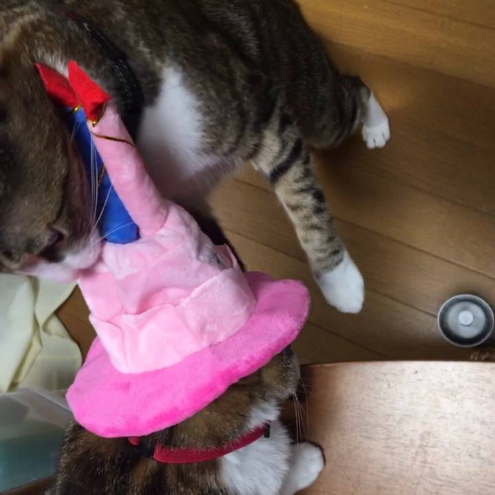 D2eb470c ab26 41e3 b68d 28f11d4e54e1 1681989515265