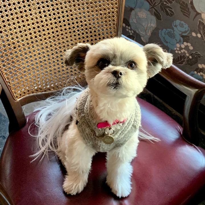 D2eb492b ca5d 4a74 86ab 861adbb3a902 1551420164709