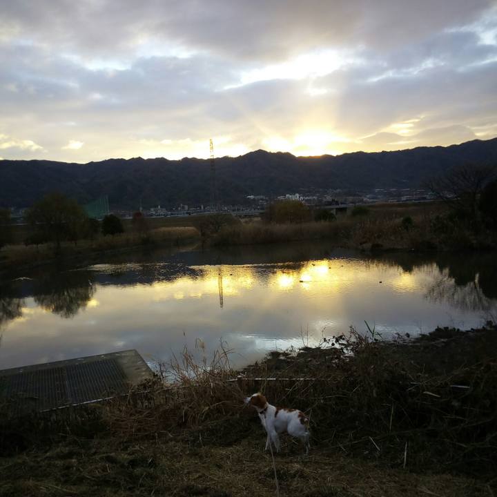 D2eb85c8 7706 4fd1 b993 2d3d6192e26b 1514417758153