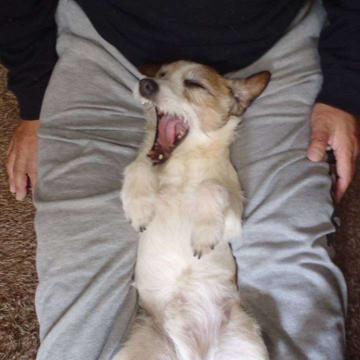 D2ebcfae c232 4a3c 89cd 9e7a54124bbf 1519835330474