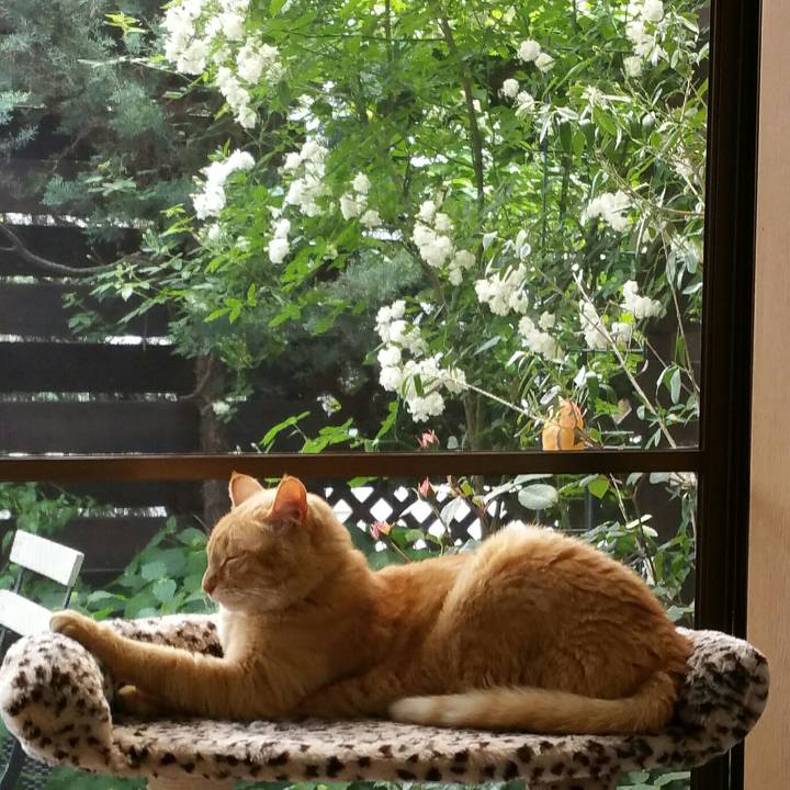 D2ec02d3 fa32 4ea0 8b48 4ef16dbd9726 1527565857354