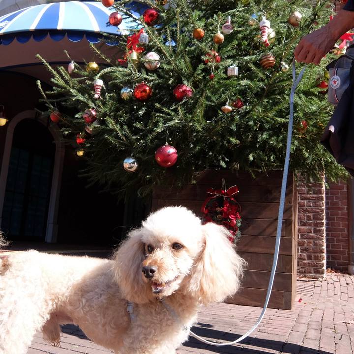 D2ec0fef 7e96 462e 8cf6 97ebbda0a2d2 1639568332438