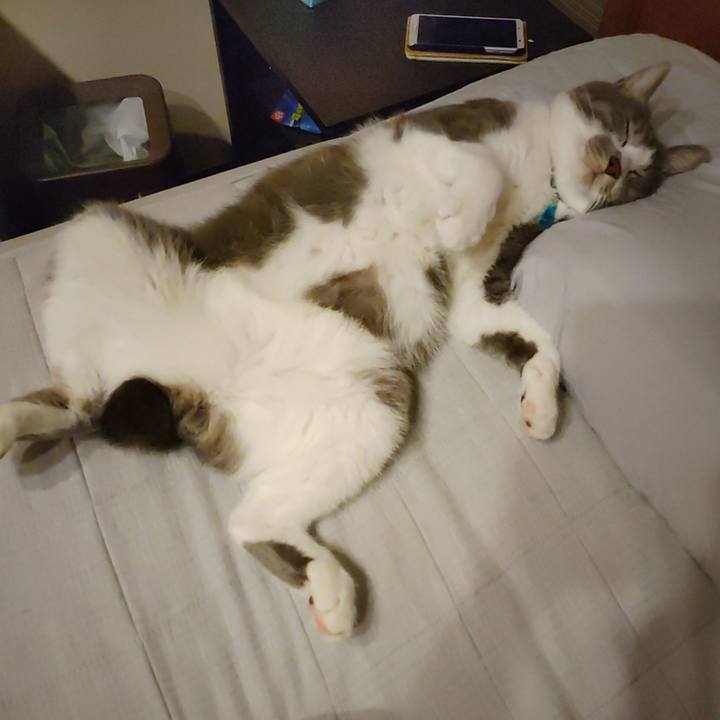 D2ec3cbb 257b 4d33 ba2d d5b83577b4cb 1660483445162