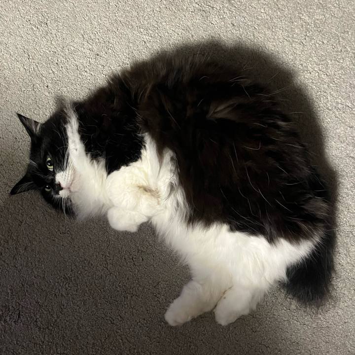 D2ec5921 431c 4438 8497 c8e179282d0a 1768362117304